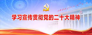 學(xué)習(xí)宣傳貫徹黨的二十大精神